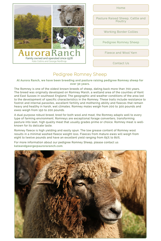 Aurora Ranch website